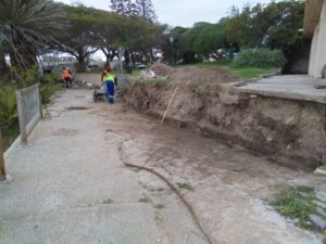 IMG_20200831_144513 (Small)