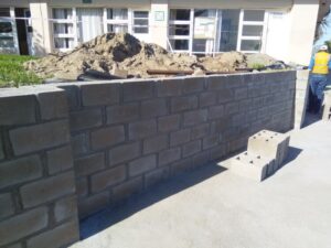 IMG_20200910_092858 (Small)