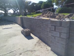 IMG_20200910_092938 (Small)