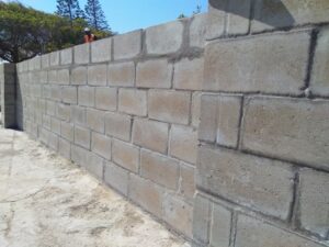 IMG_20200910_113950 (Small)