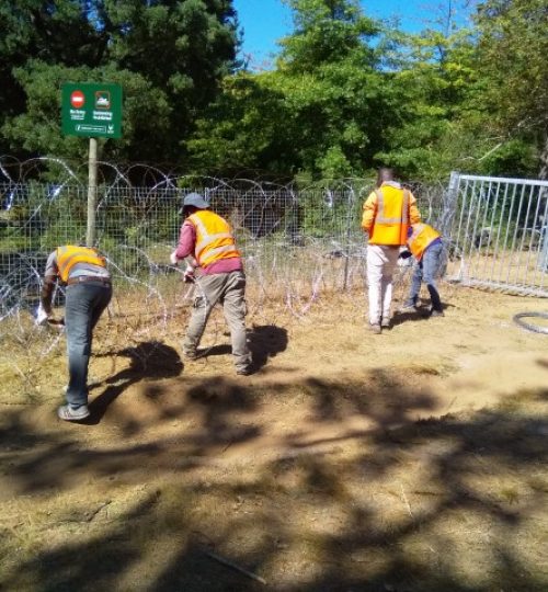 IMG_20200224_101430 (Small)