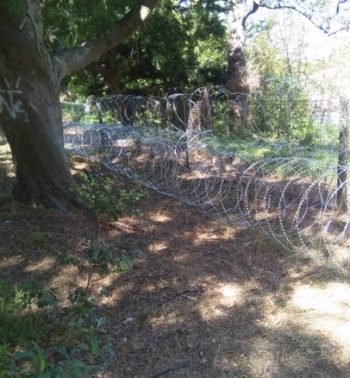 IMG_20200224_143706 (Small)