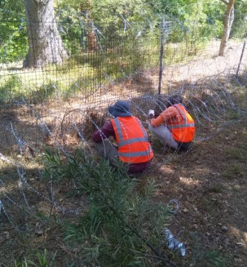 IMG_20200224_144124 (Small)