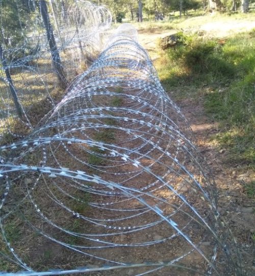 IMG_20200224_165204 (Small)