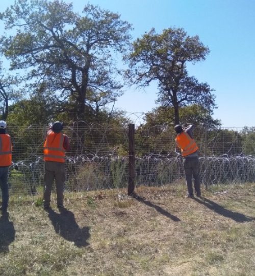 IMG_20200225_100855 (Small)