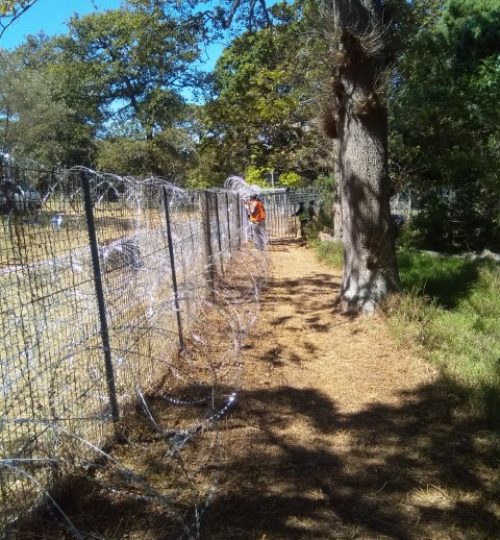 IMG_20200225_142912 (Small)