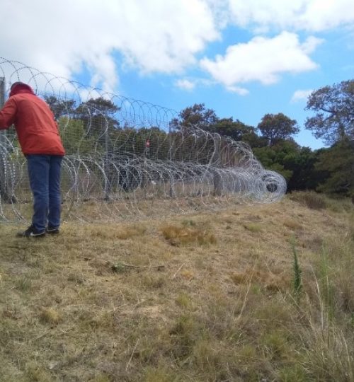 IMG_20200227_120042 (Small)