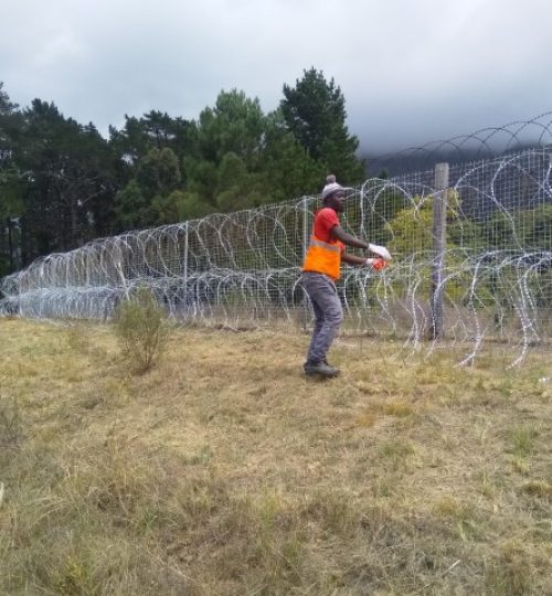 IMG_20200227_120051 (Small)