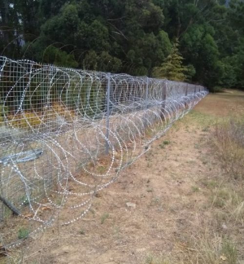 IMG_20200227_134021 (Small)