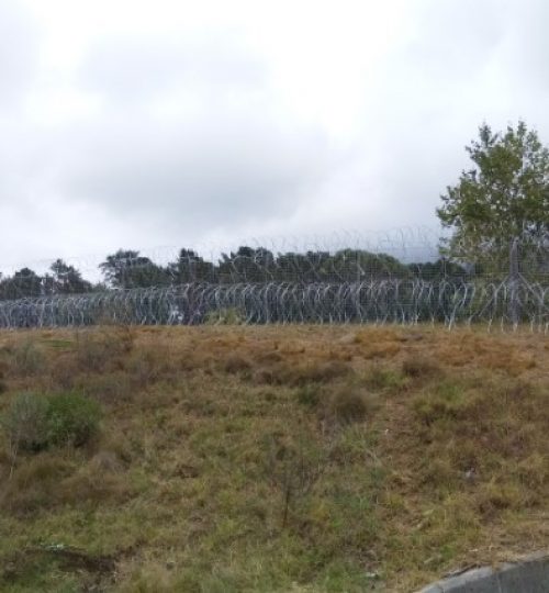 IMG_20200227_135230 (Small)