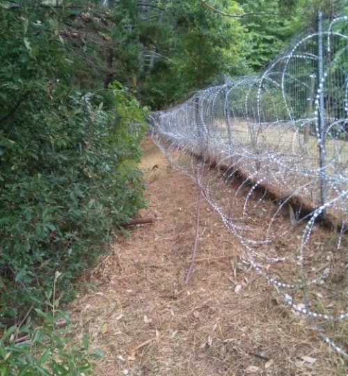 IMG_20200227_152556 (Small)