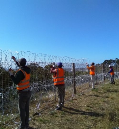 IMG_20200228_090601 (Small)