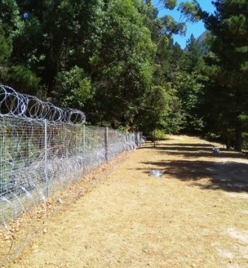 IMG_20200228_122944 (Small)