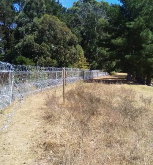 IMG_20200228_123052 (Small)