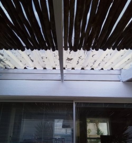 IMG_20200623_161537 (Small)