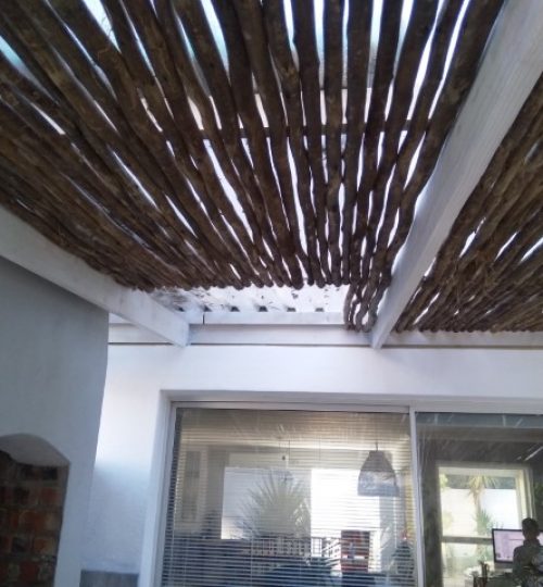 IMG_20200624_113501 (Small)