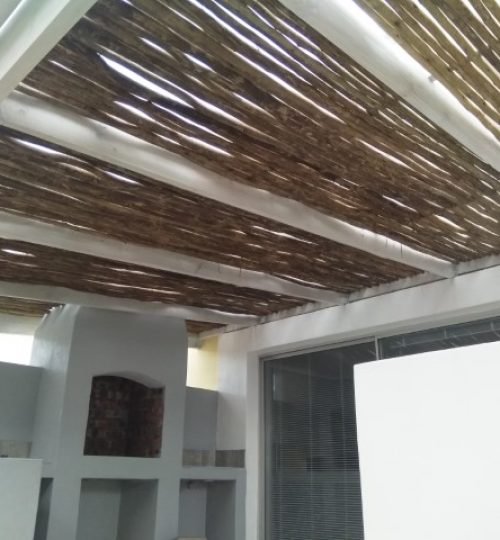 IMG_20200625_103229 (Small)